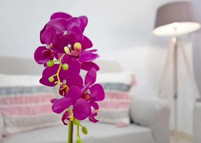 Casita Amiga Del Mar *