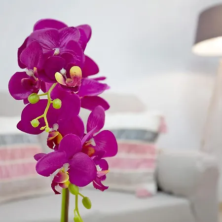 Apartamento Casita Amiga Del Mar